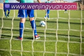 赵剑非或将离队 泰山队中卫面临新挑战